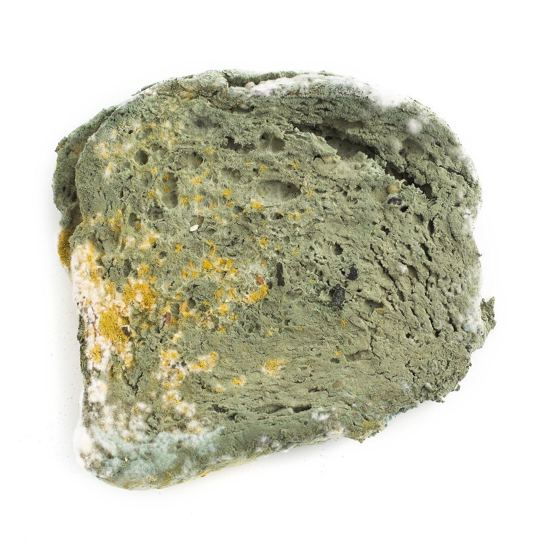 Mould on bread