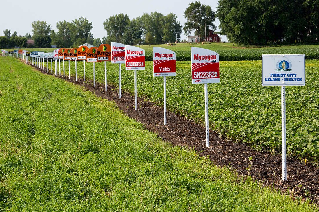 Genetically modified crop signs