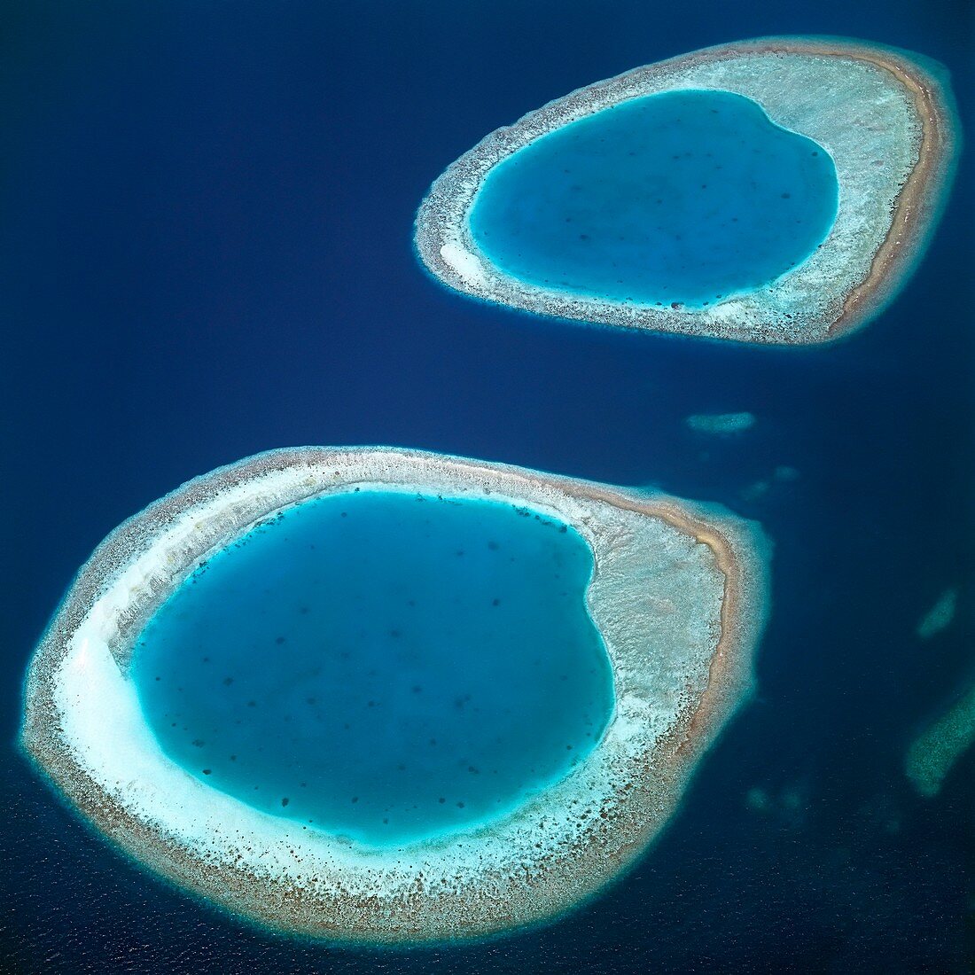 Atolls,Ari Atoll,Maldives