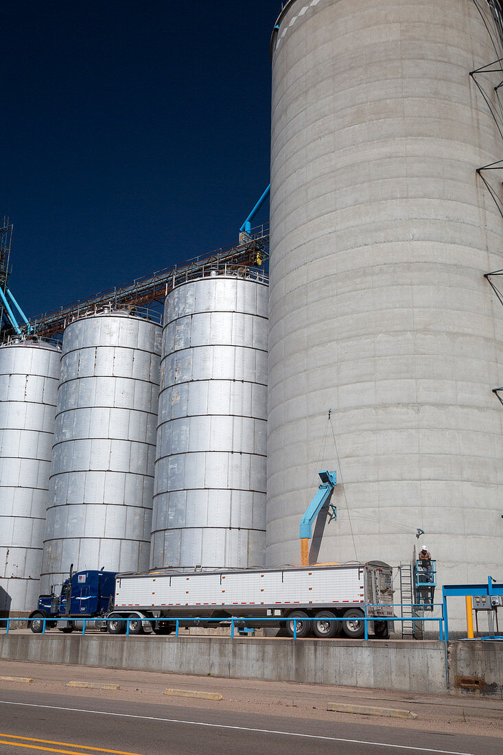 Grain truck being filled at a silo