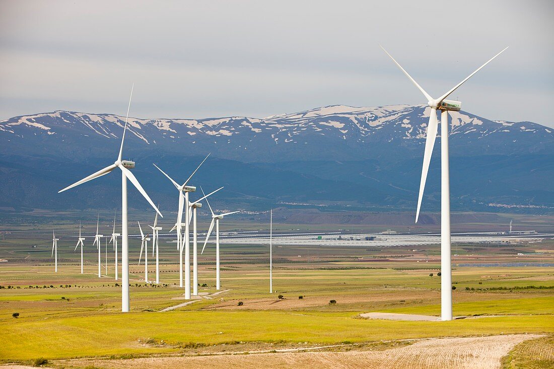 A wind farm near La Calahorra,Spain