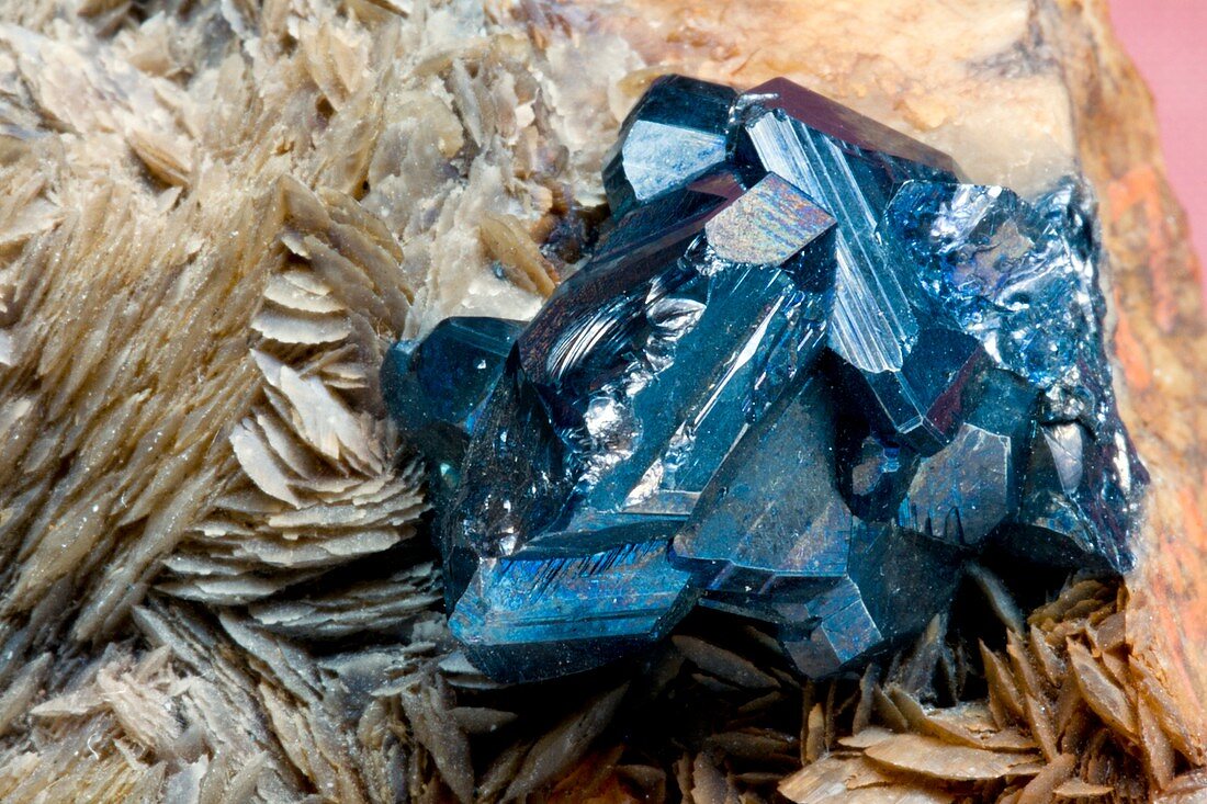 Bournonite on Gypsum Substrate I