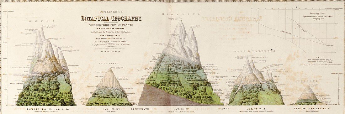 Global botanical geography,1840s