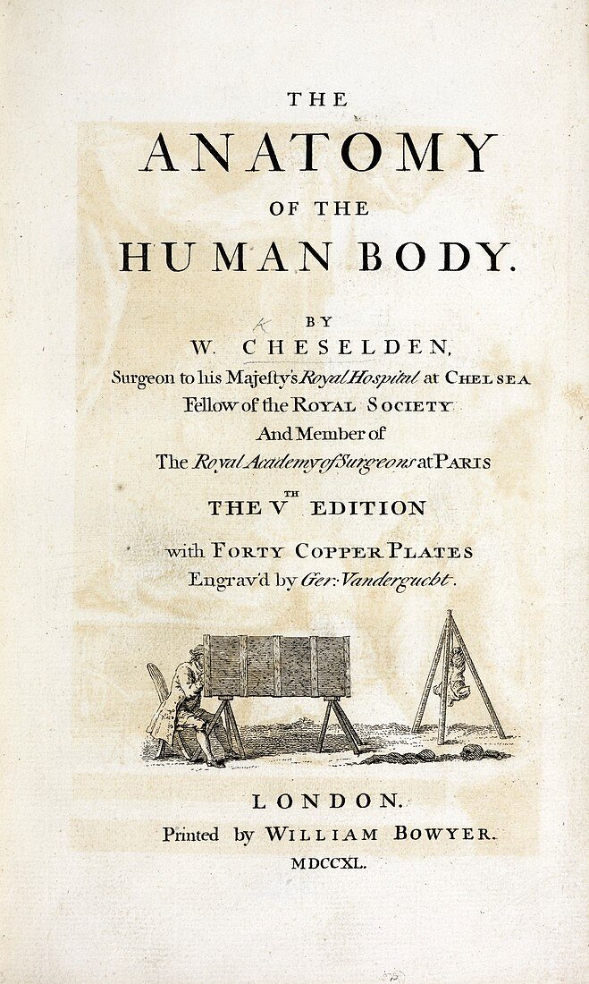 The Anatomy of the Human Body (1740)
