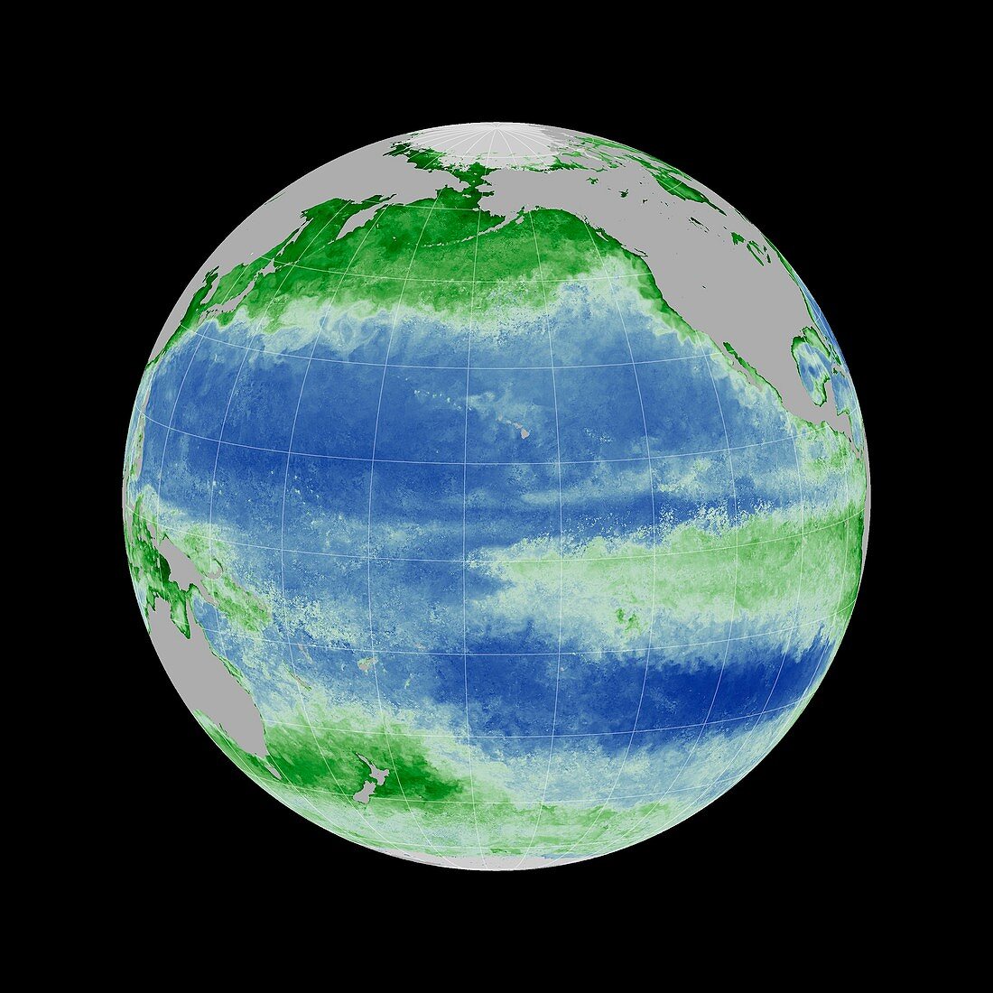 Ocean chlorophyll concentrations,2015