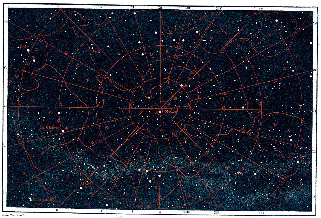 Boreal constellations,1886 illustration