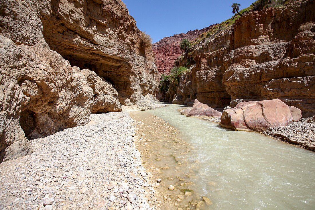 Wadi Zered,Western Jordan