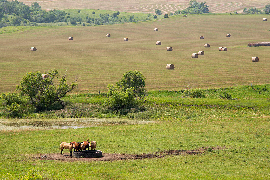 Farming in South Dakota,USA