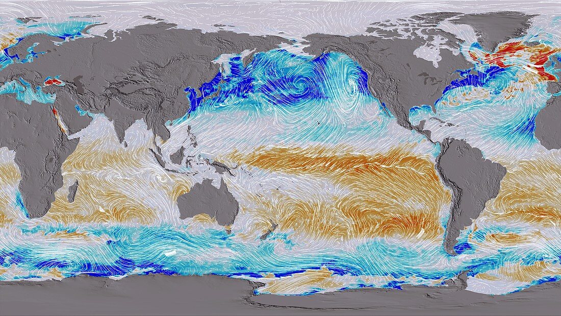 Ocean surface CO2 and winds,global map