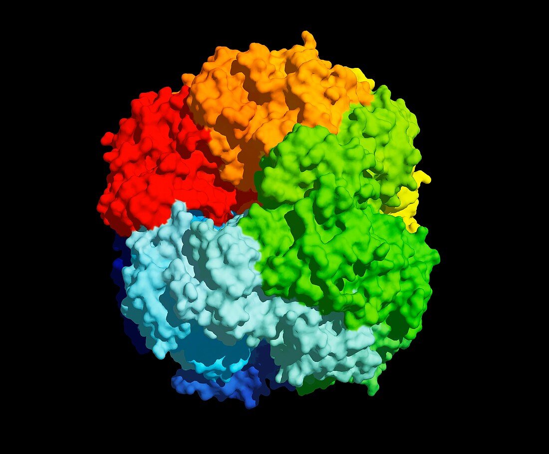 RuBisCO carbon fixation enzyme molecule