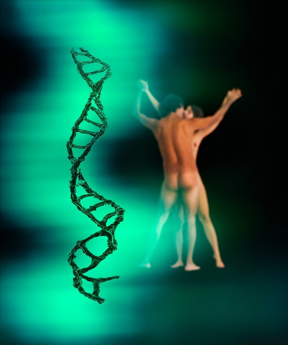 DNA,sex and love,concept