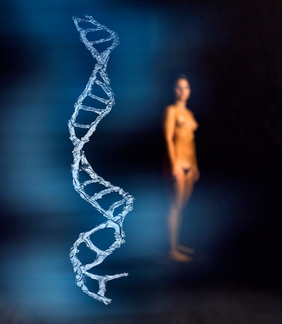 Female DNA,conceptual image