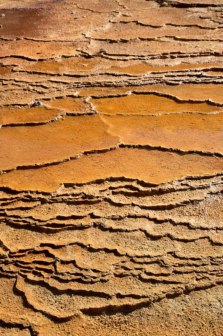 Mineral terraces at Crystal Geyser,USA