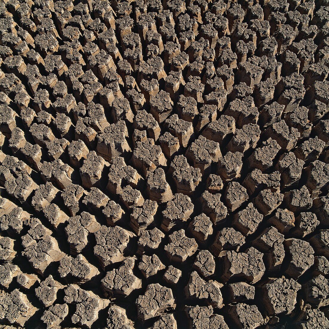 Cracked mud,Mojave Desert,USA
