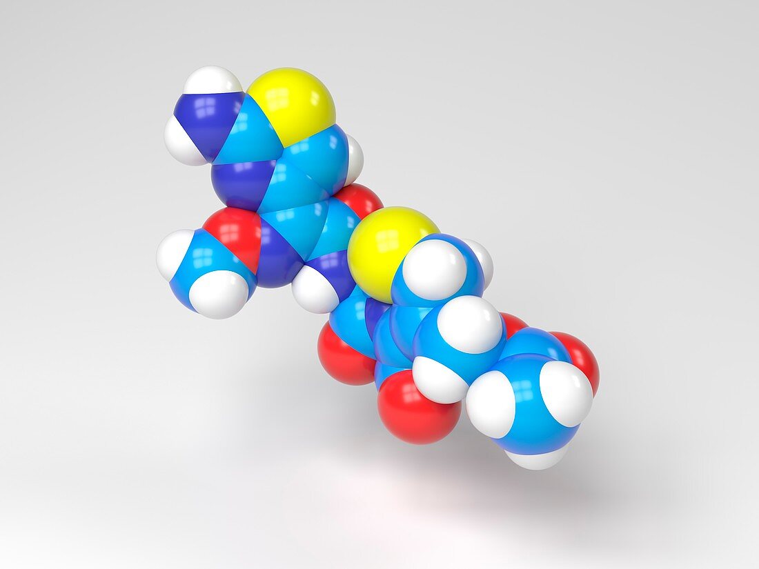 Cefotaxime molecule,Illustration