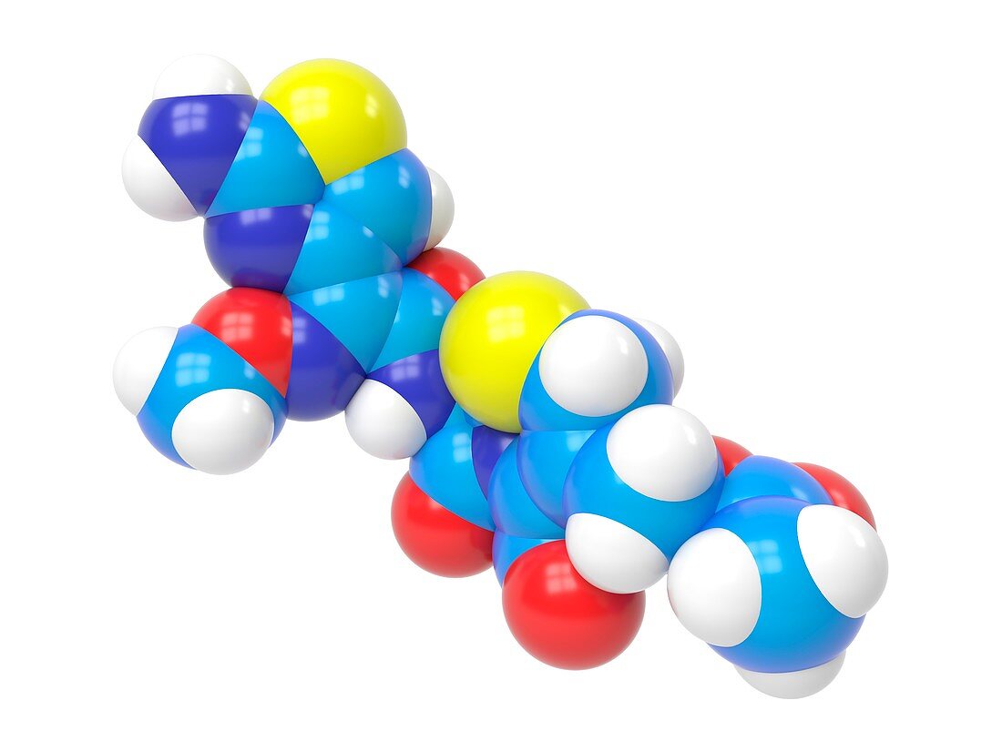 Cefotaxime molecule,Illustration