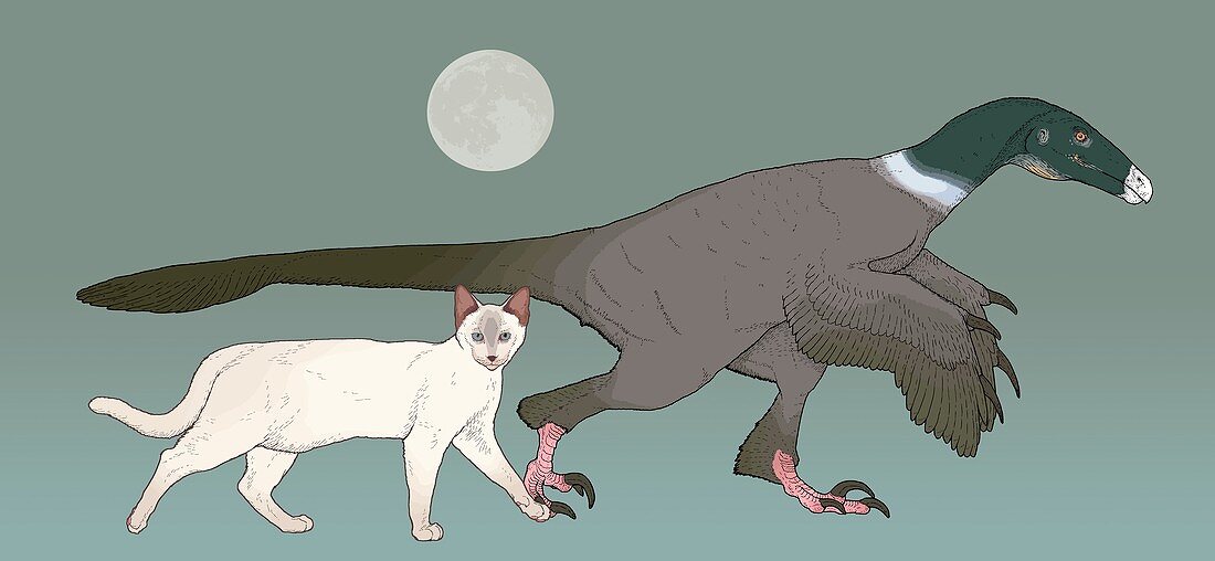 Balaur bondoc dinosaur,illustration