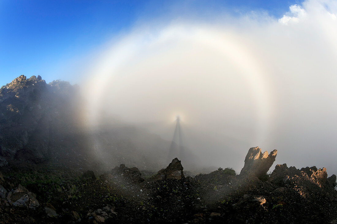 Glory and Brocken spectre,Hawaii