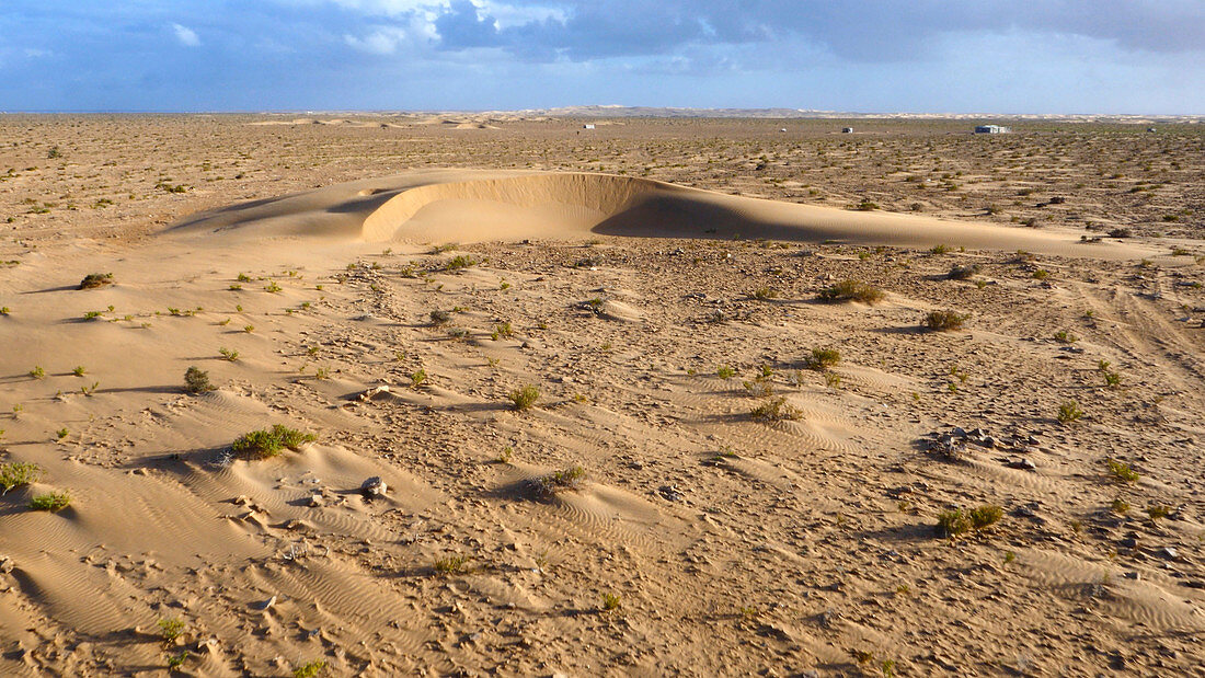 Barchan dune,Morocco