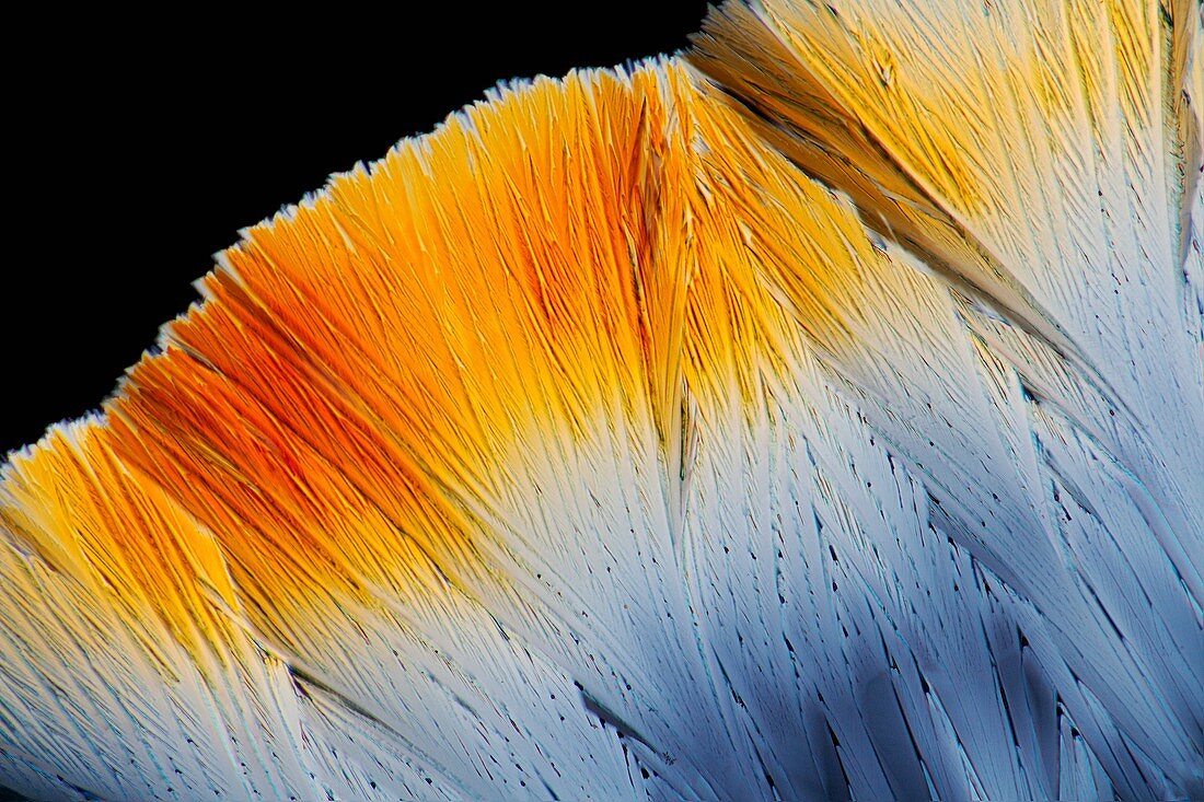 Fluoxetine drug,light micrograph