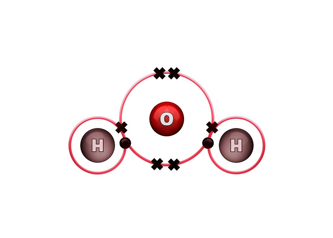 Bond formation in water molecule