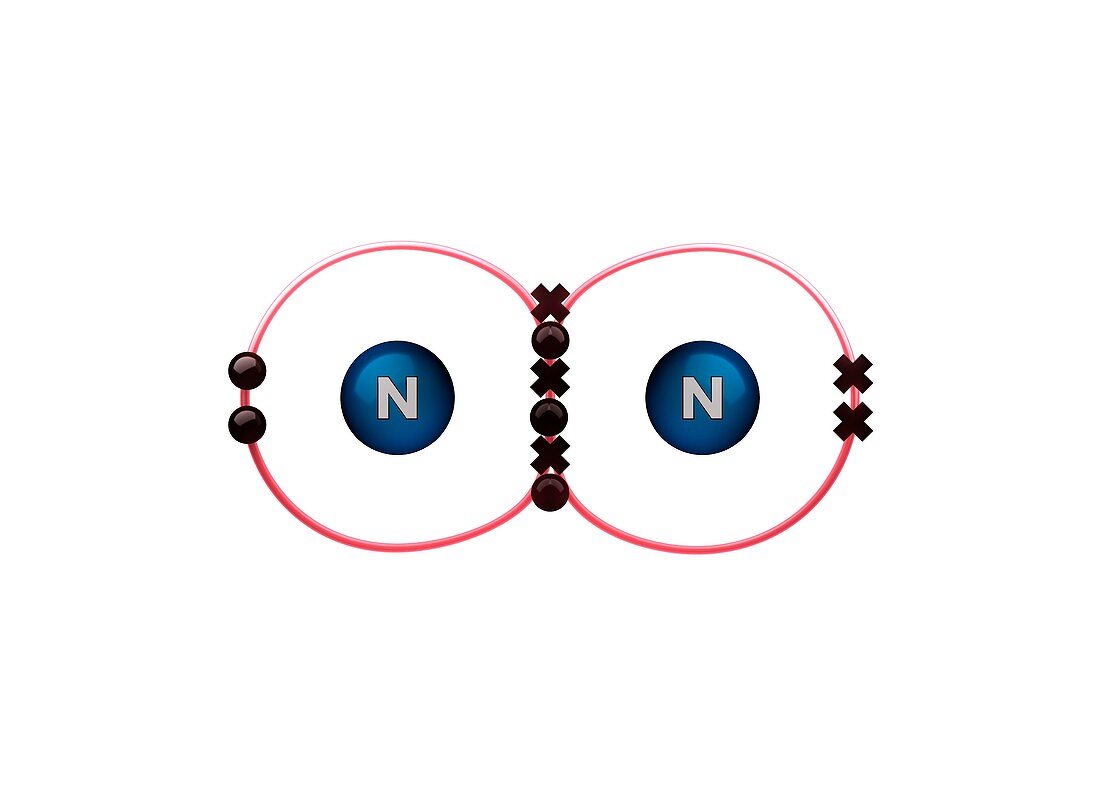 Bond formation in nitrogen molecule