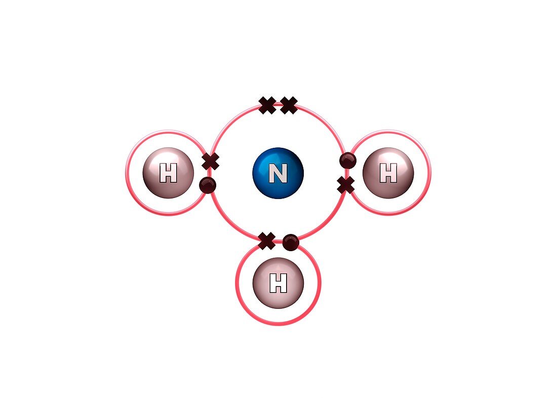 Bond formation in ammonia molecule