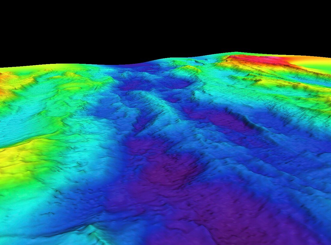 Mid-Atlantic Ridge,3D bathymetric image