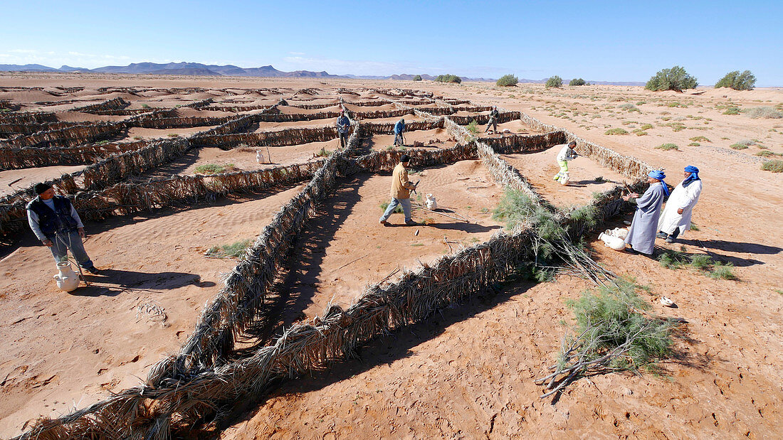 Desertification prevention,Morocco