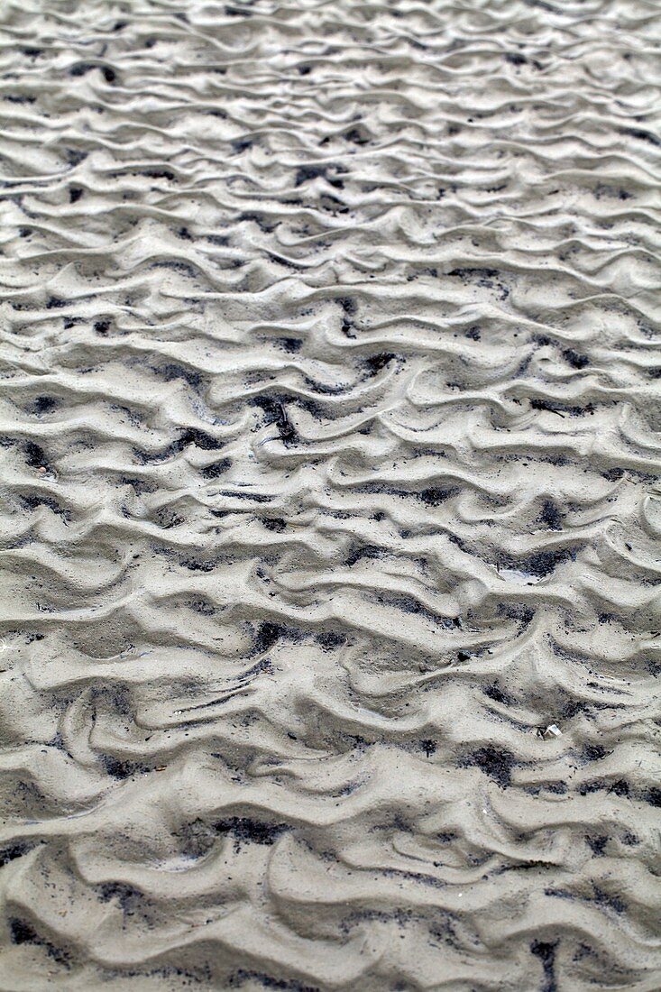 Tidal sand ripples