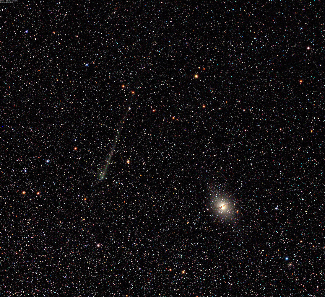 Comet C2014 Q1 and Centaurus A