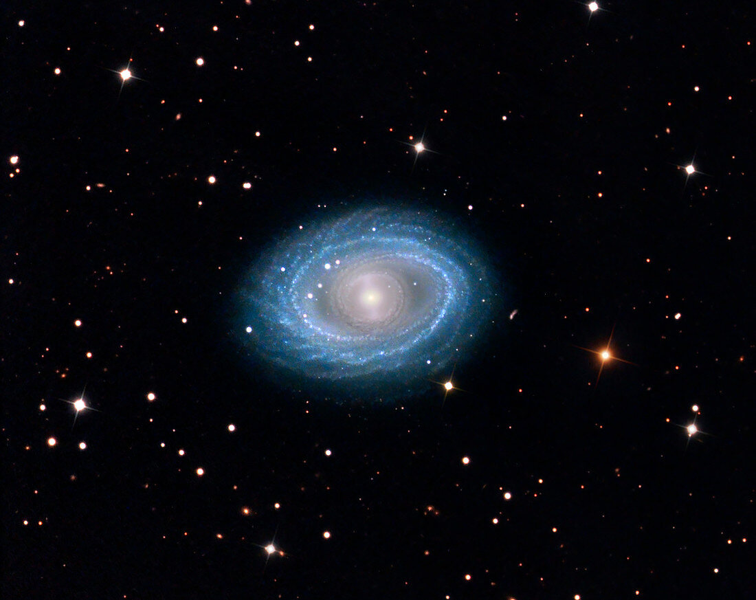 Spiral galaxy NGC 1398