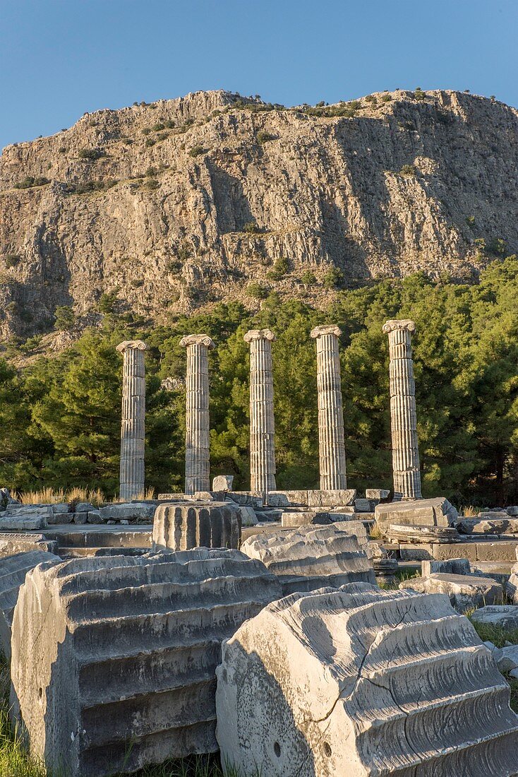 Ruins of the Temple of Athene,Priene