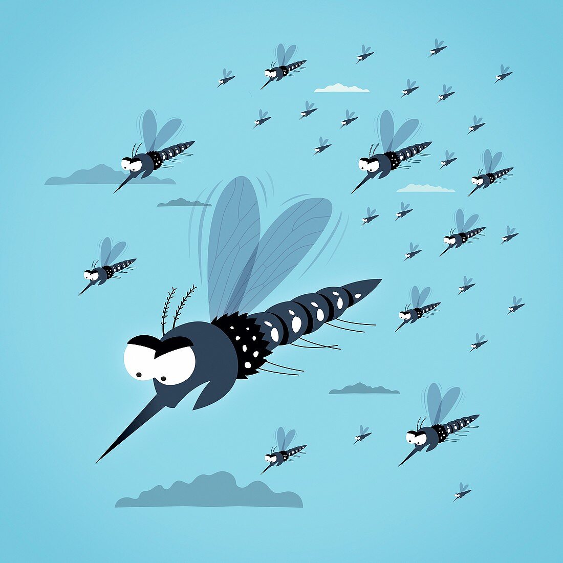 Dangerous mosquitos,conceptual image