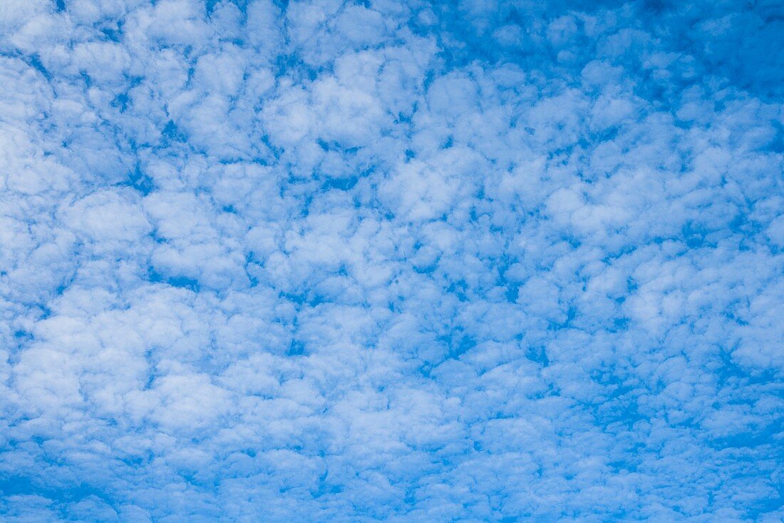 Clouds in a blue sky