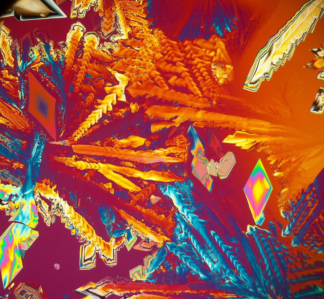 Aspartic acid crystals,light micrograph