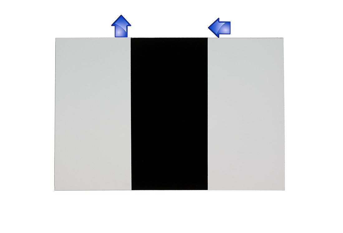 Perpendicular polarizing filters