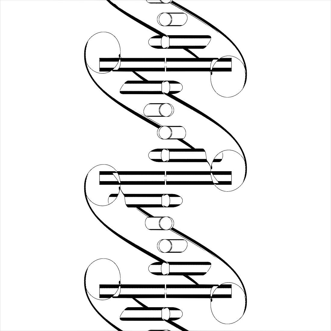 DNA molecule,illustration