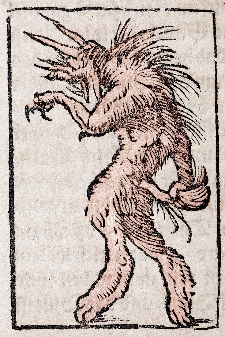 1554 Munster lycanthrope werewolf demon