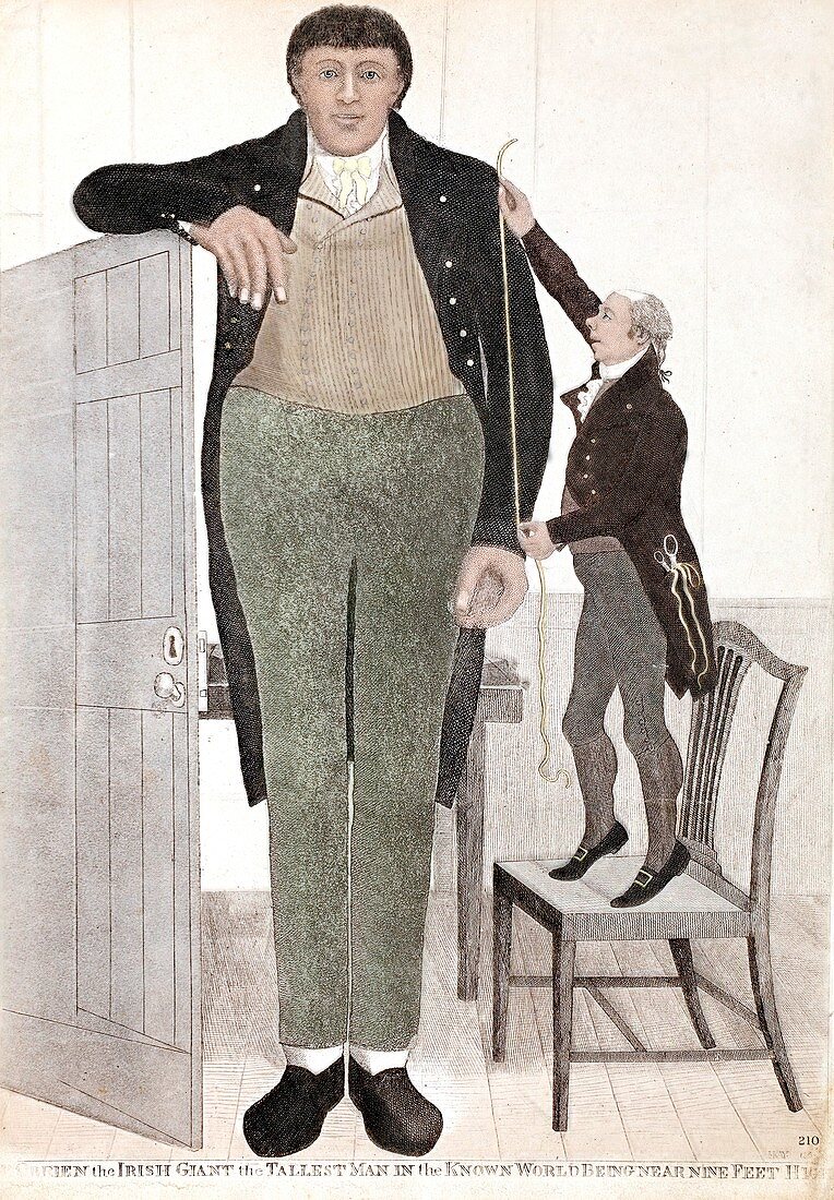1782 Patrick O'Brian the irish giant