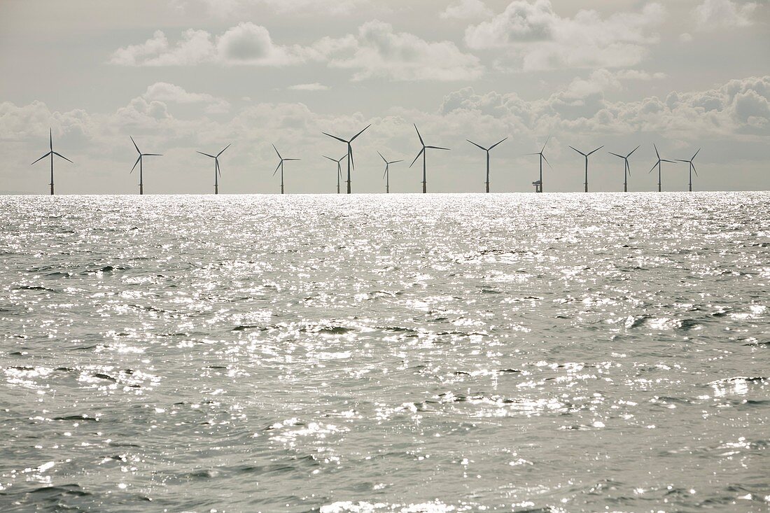 The Walney offshore wind farm