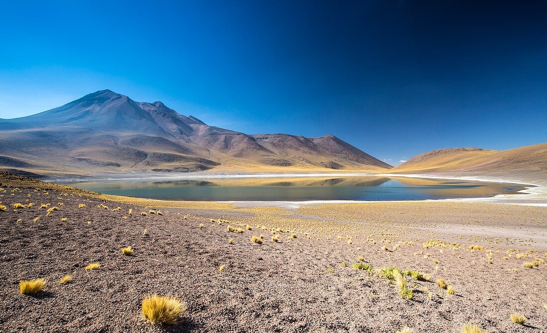 Lake Miscanti,Atacama desert,Chile