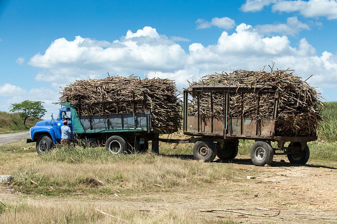Loaded sugar cane truck Cuba