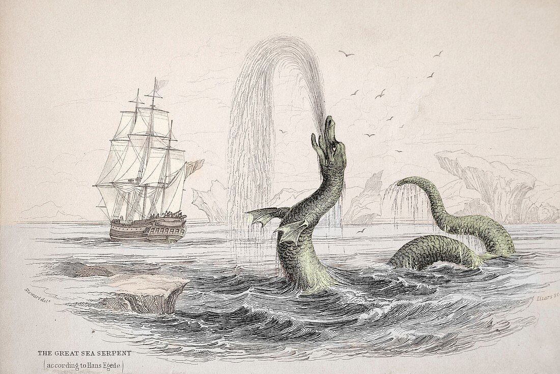 1734 Hans Egede Sea Monster Serpent color