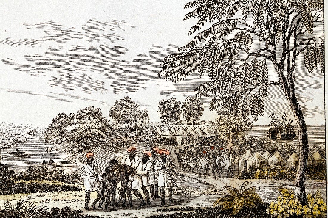1805 Slavers separating women children