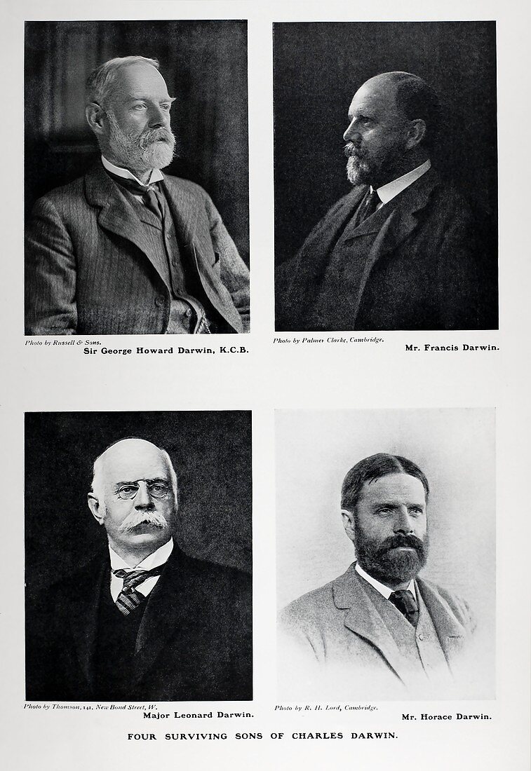 1905 four surviving sons charles darwin