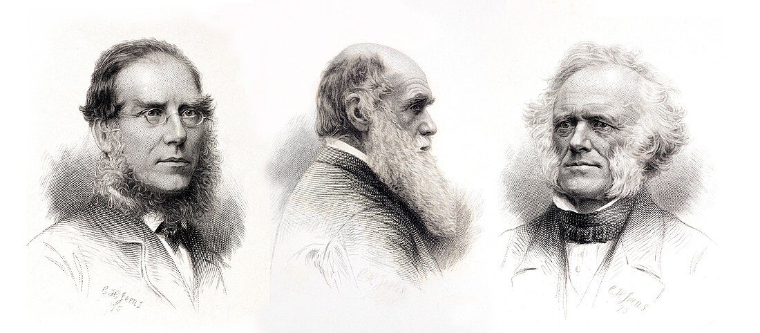 1875 Charles Darwin hooker lyell portrait