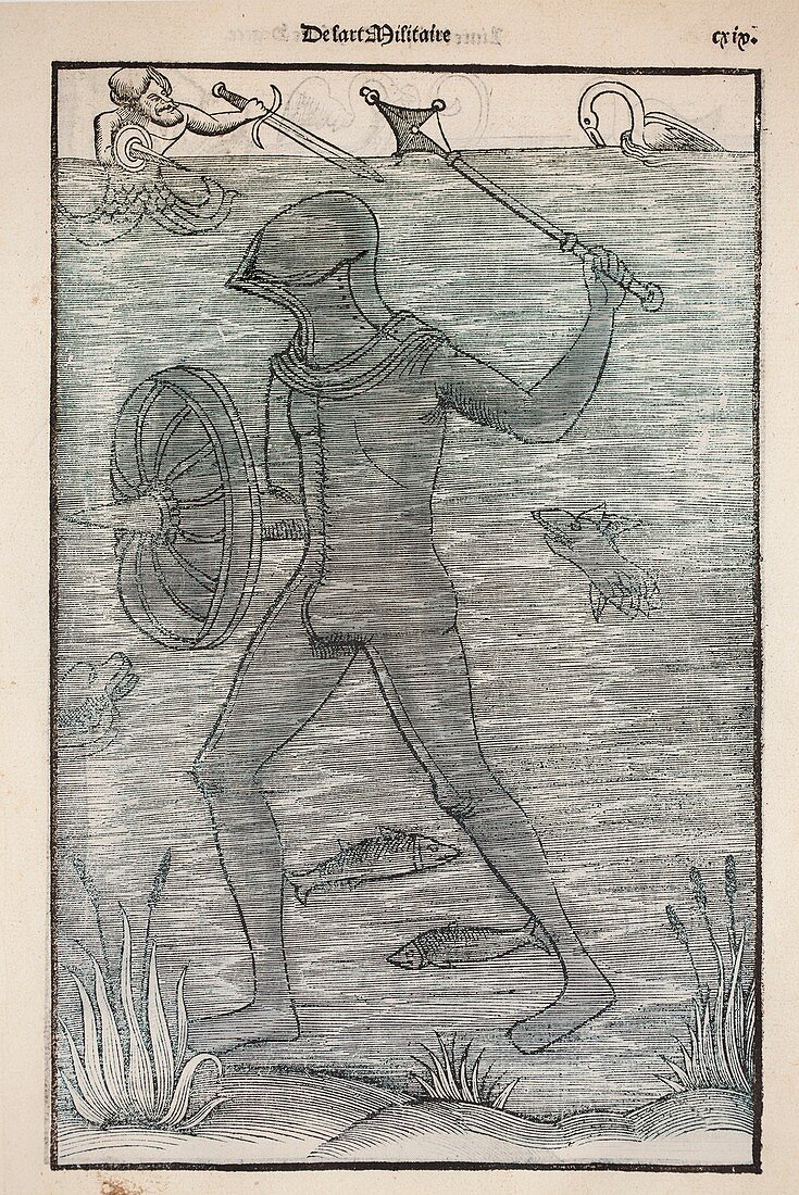 1532 A medieval diving suit Vegetalius