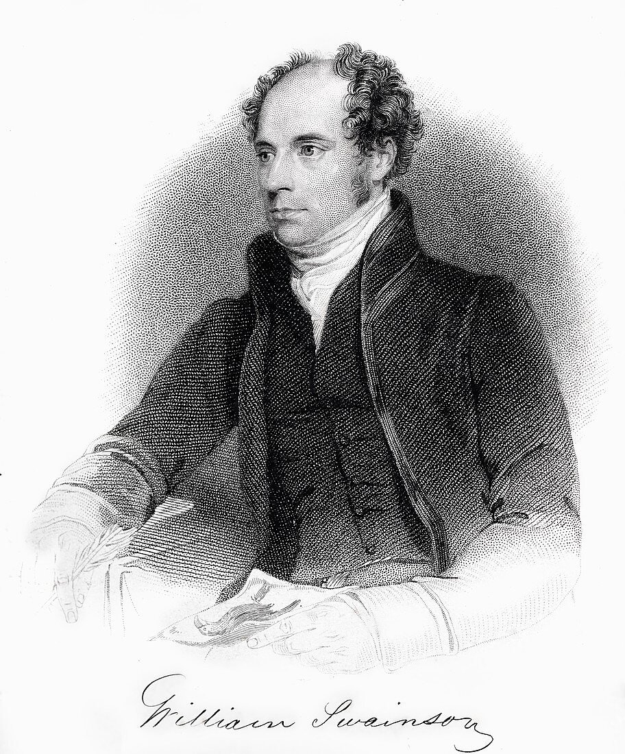 1840 William Swainson naturalist portrait