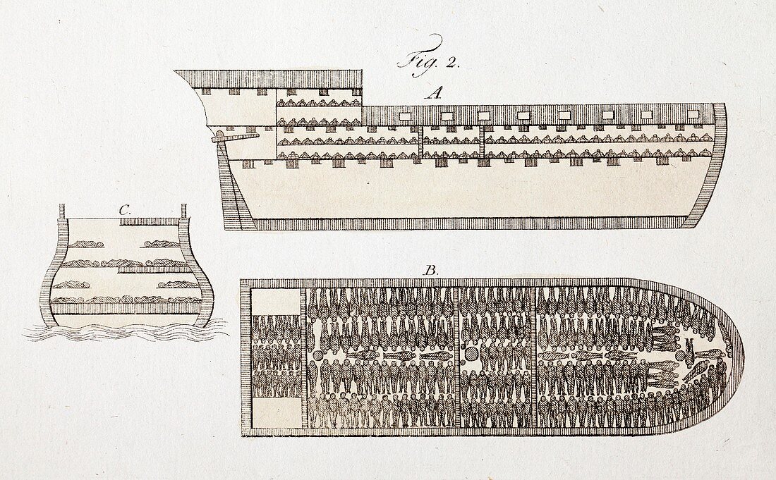1805 Plan slave ships showing human cargo